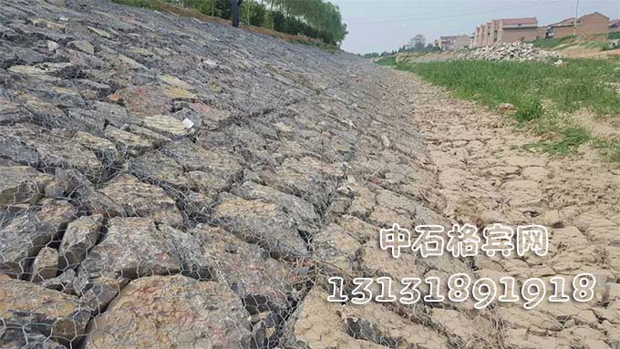 雙隔板雷諾護墊